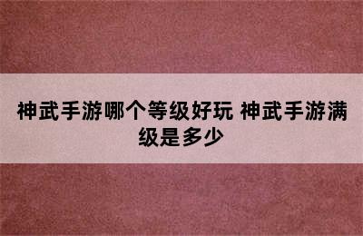 神武手游哪个等级好玩 神武手游满级是多少